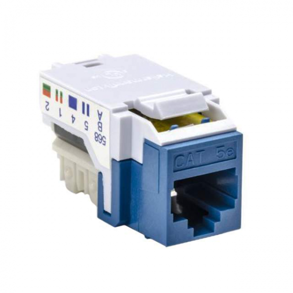 RJ45FC5E-BLU P1